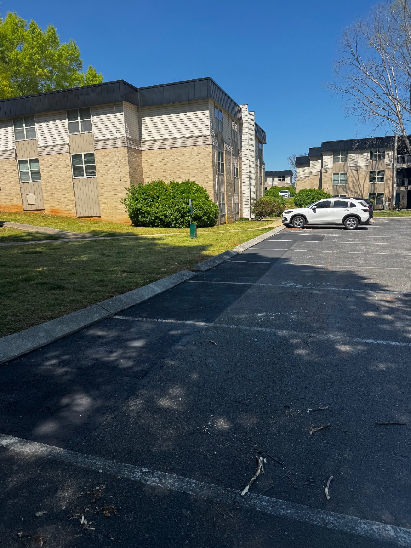 Property Maintenance